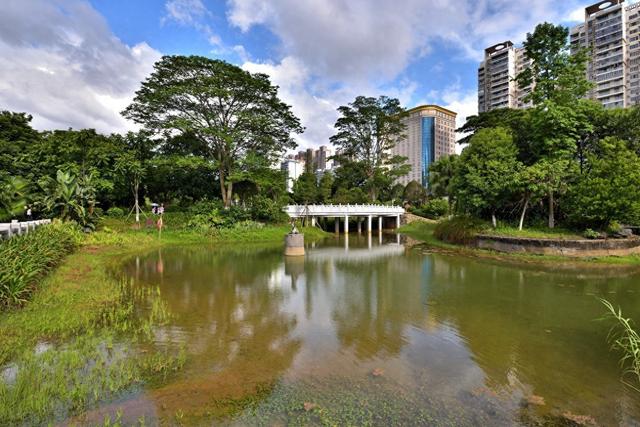 阳泉“黑马”平定：城区没预料，盂县没料到，今成全国焦点