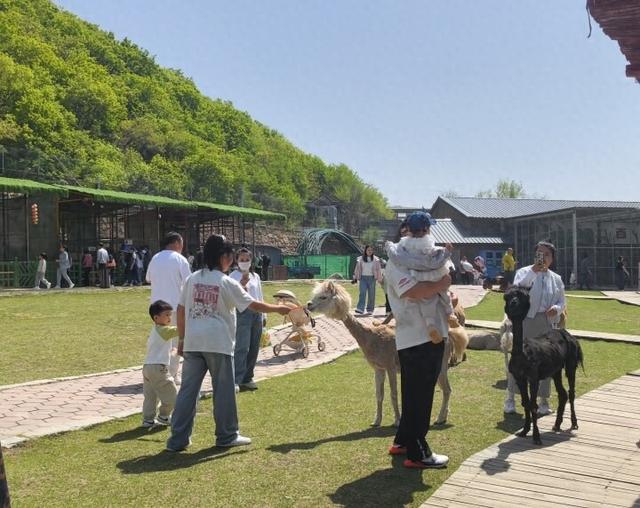 嗨翻全城！“五一”鞍山亲子游玩不重样