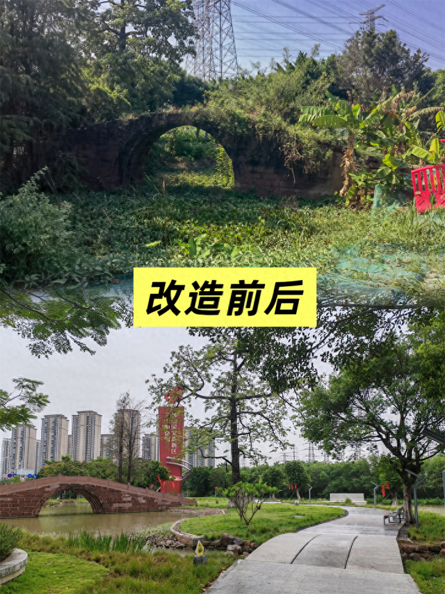 古桥新生，水乡焕彩！杏坛如何让600年历史“活”在当下？｜蝶变·新生——顺德十镇街“百千万工程”成效巡展⑥