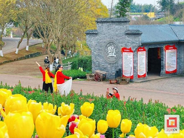 繁花满自贡，春日赏花走起！