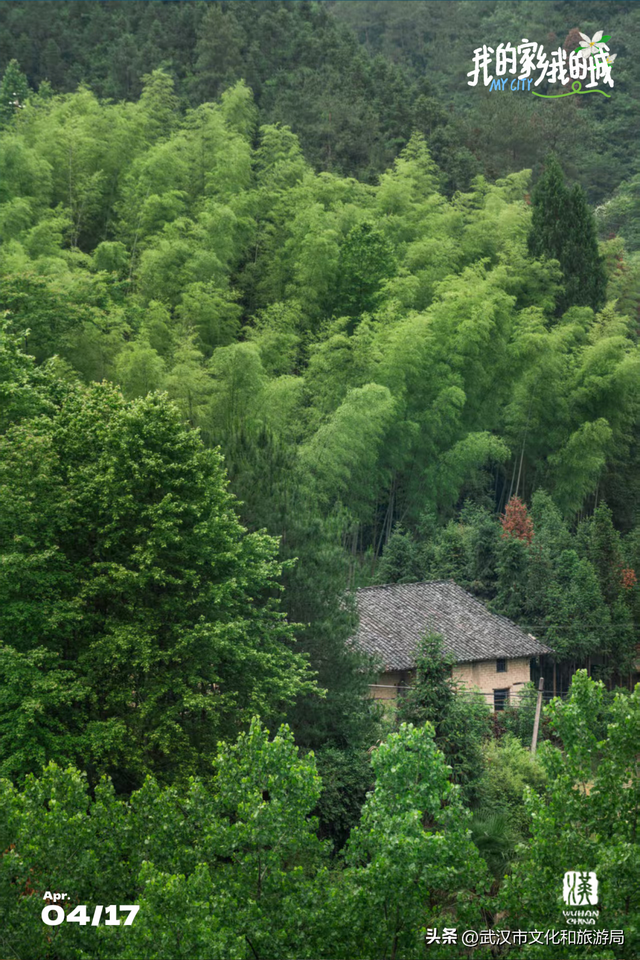 直冲30℃，咸宁请客，出来玩！