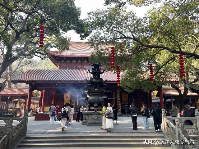 2026杭州古刹五百多岁的玉兰盛开，仅一周观赏期，是时候来冲了！