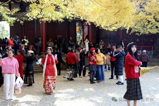 罨画池外，还能这样玩！