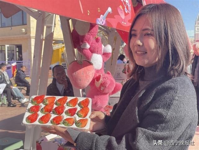 采摘寻味：湟中草莓文化艺术季开幕