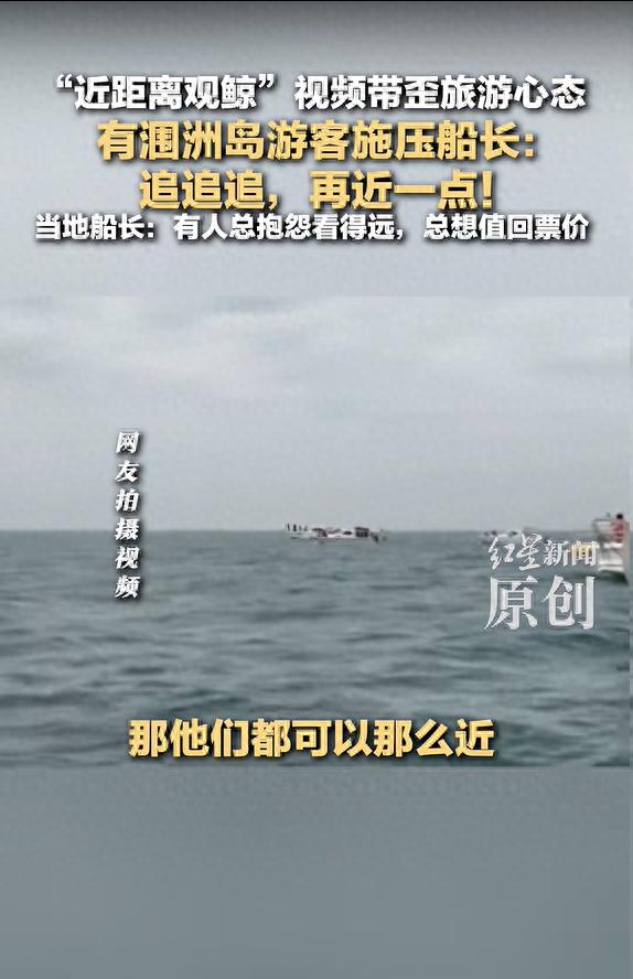 “近距离观鲸”视频引乱象!涠洲岛官方明确要求100米内需停船!