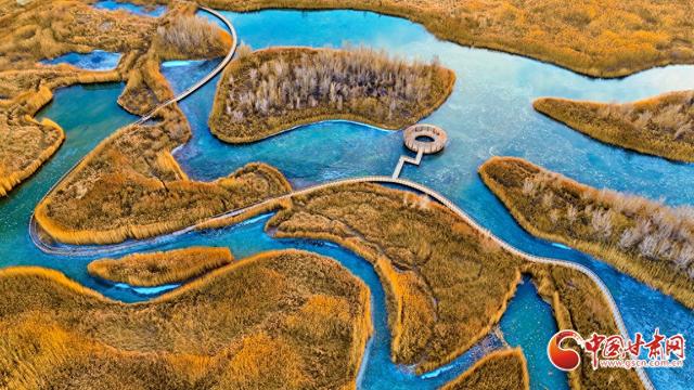 陇拍客丨张掖湿地披金装