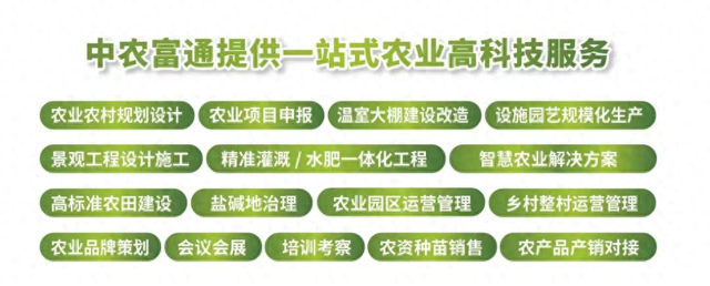 中国工程院康红普院士考察调研“中国农业大学设施农业科技小院”
