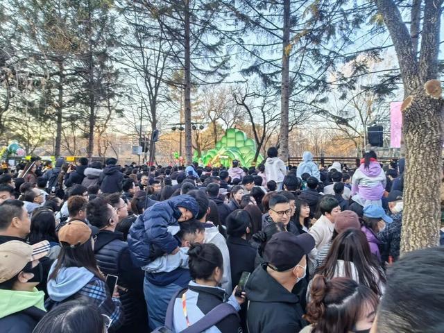 133.55万游客，收入12.67亿元！长春清明假期第一天成绩亮眼！