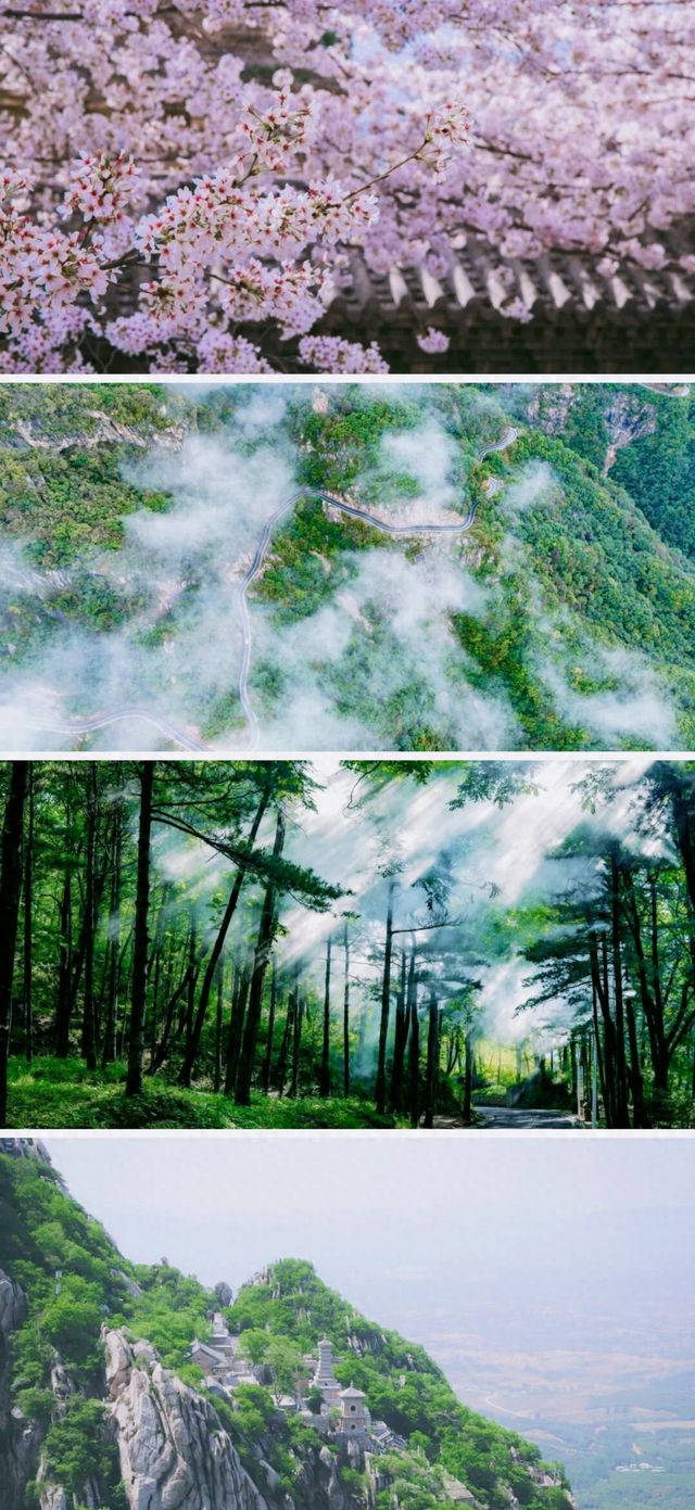 走，去河南山野里“撒个欢”！