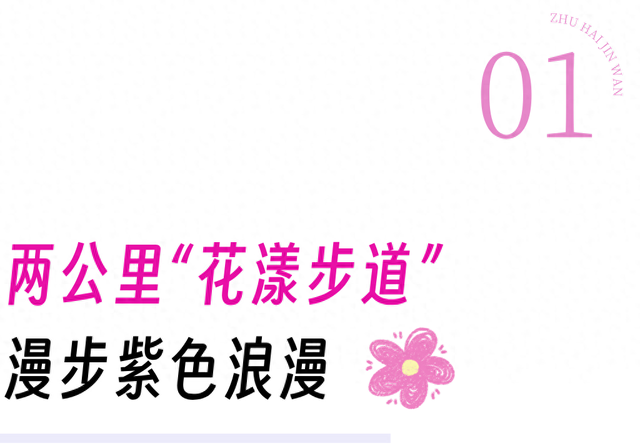 美翻！金湾「紫色花海」，开了！