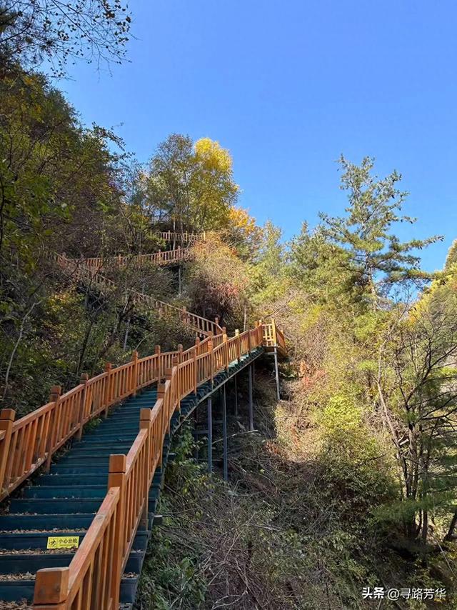 大墩峡的秋日时光，在阳光下，在风里