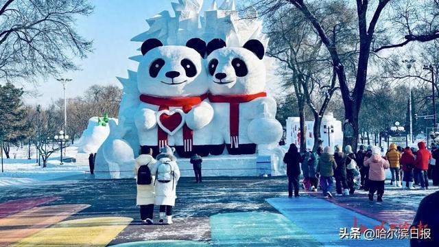 以“芝麻”“芝士”为原型，太阳岛雪博会巨型熊猫雪雕亮相