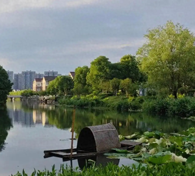 5年倒闭了10家4A及以上景区！热门景区，为什么没人去消费了？