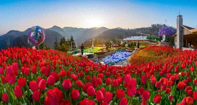 明确了！淄博的春天这样玩，过瘾