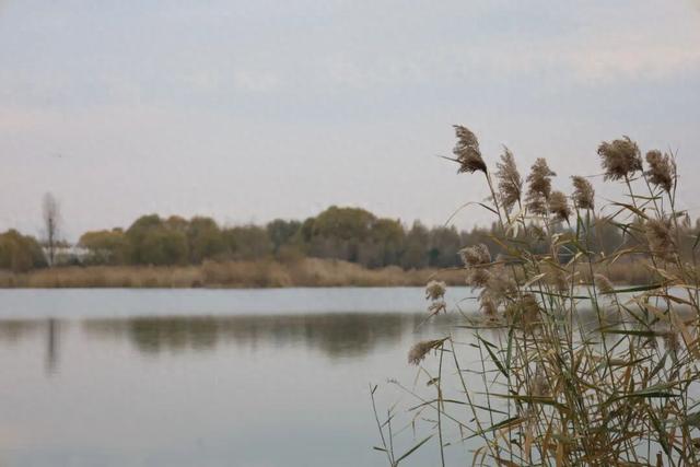 50公里鎏金湖岸，淄博这里的秋天醉了！