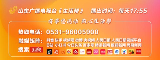 “最早下班”的和平鸽迷路 热心网友火速“救援” 休息后可自行回巢 无须担心