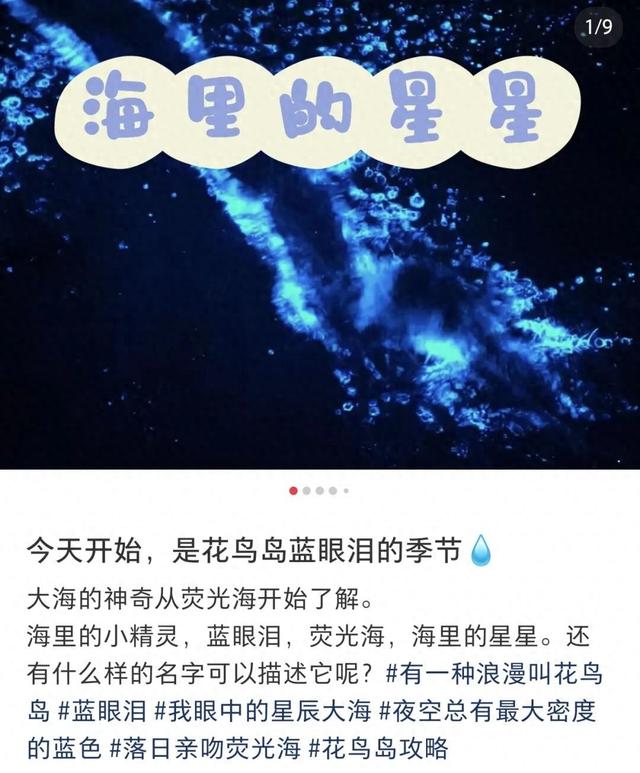 浙江一海岛现“梦幻蓝眼泪”！民宿老板拍下一幕：很震撼，这些点位最易偶遇