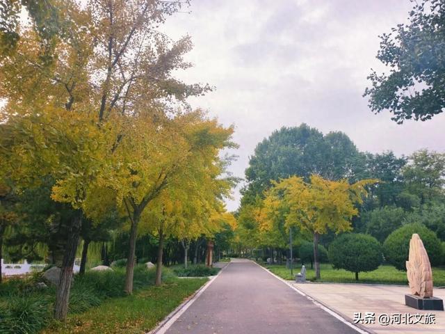 秋日，不去一趟石家庄植物园，会留遗憾