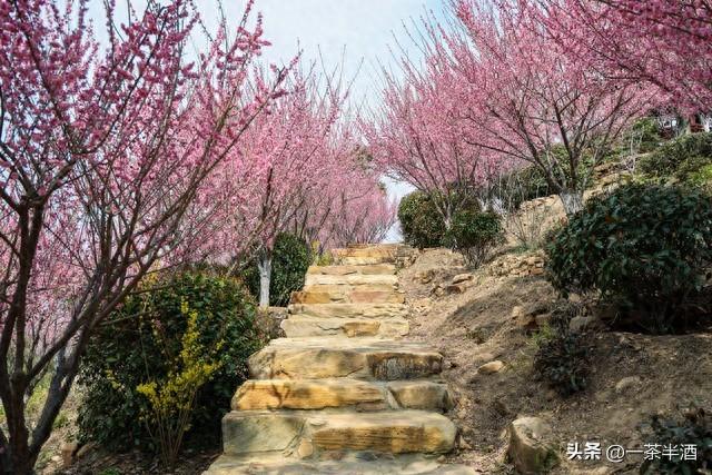 线路推荐！6天自驾连云港轻松游，景点美食免费营地深度联动