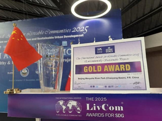 全球金奖！这次是——