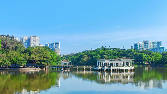 广州市中心藏着一个森林氧吧！散步躺平一下午，治愈到不想回家