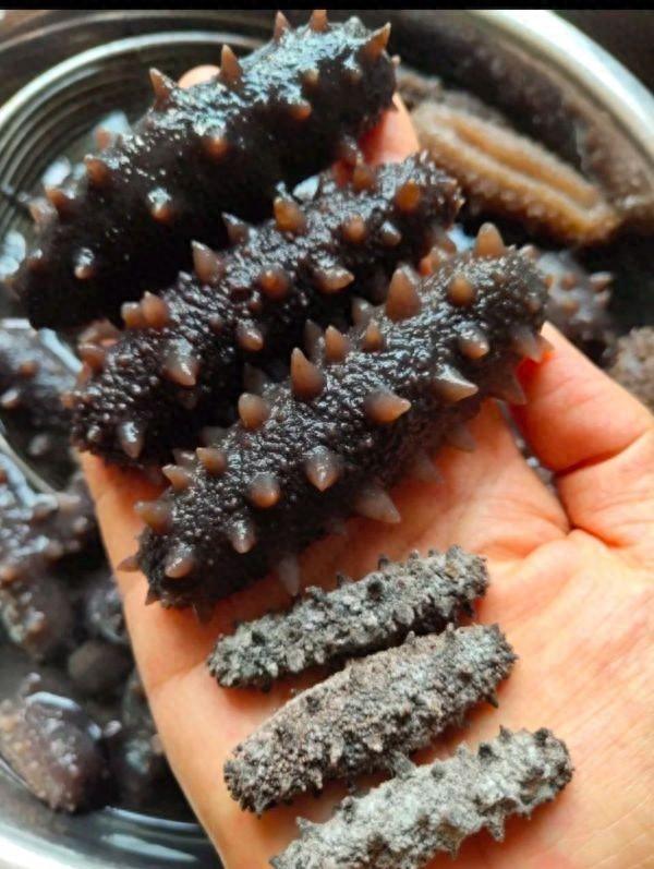 干海参怎么做 2026年干海参怎么做才好吃