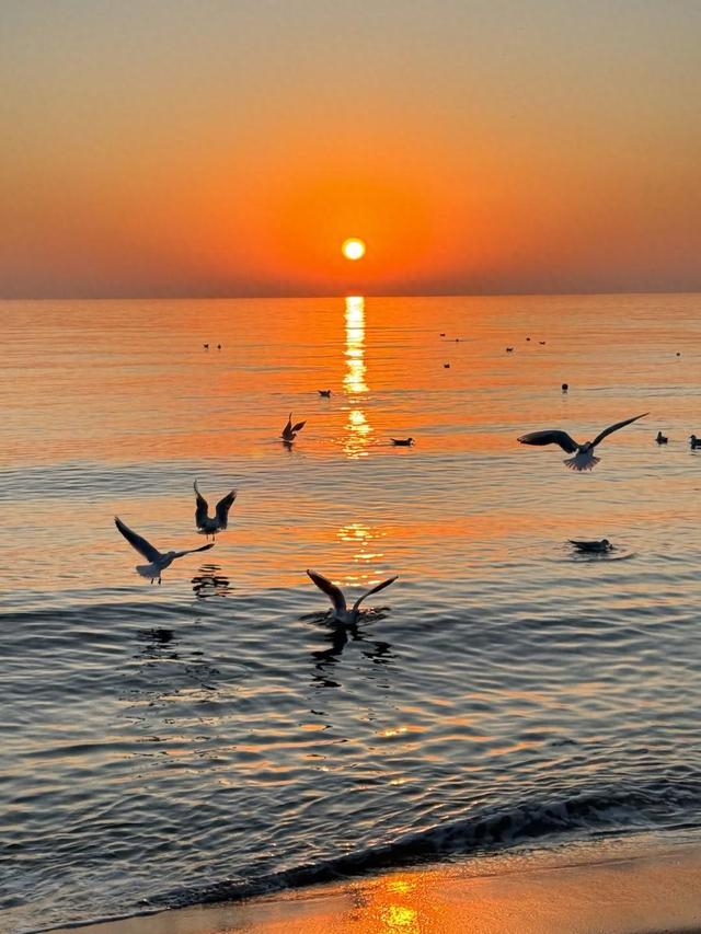 秦皇岛凭啥被北京人当"后花园"？本地人说出真相：大部分人白去了