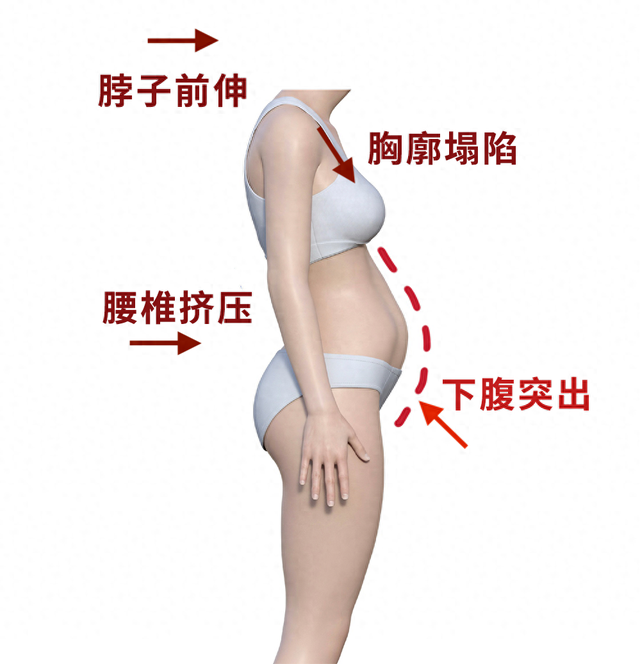 三个女怎么读（女生小肚子突出）