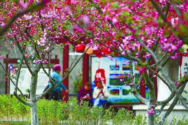 博望区横山景区变了！这波改造太暖心