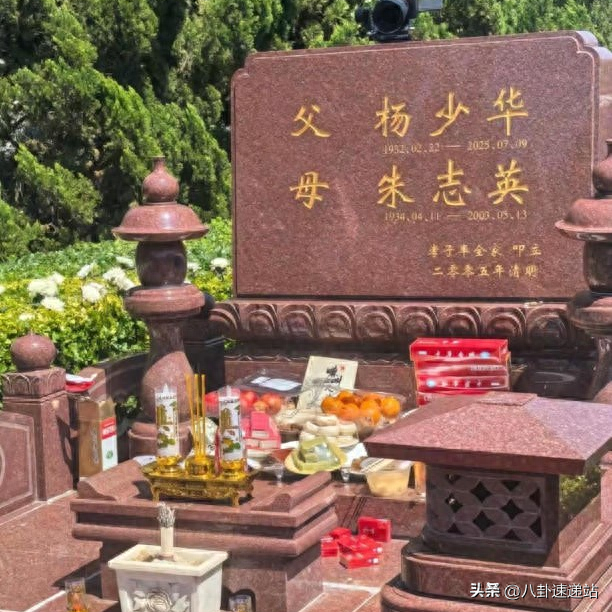 担心的事还是发生了！杨少华刚下葬不久 杨议几句话打响内斗第一枪