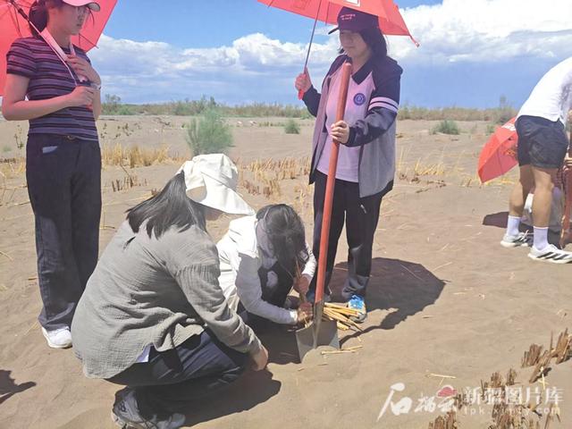 一方水土丨沙海藏着植物大观园