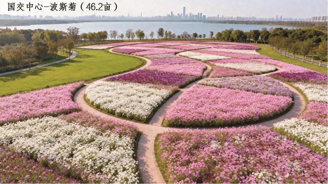 一园一景一花事花漾 银川这份赏花月历让你从春“美”到秋