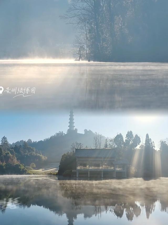 【初冬打卡指南】都匀绿博园“限定红杉雾镜”上线！