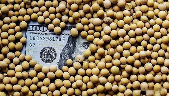 美豆堆到粮仓爆！巴西豆坐地起价？中国48小时签阿根廷 130 万单！
