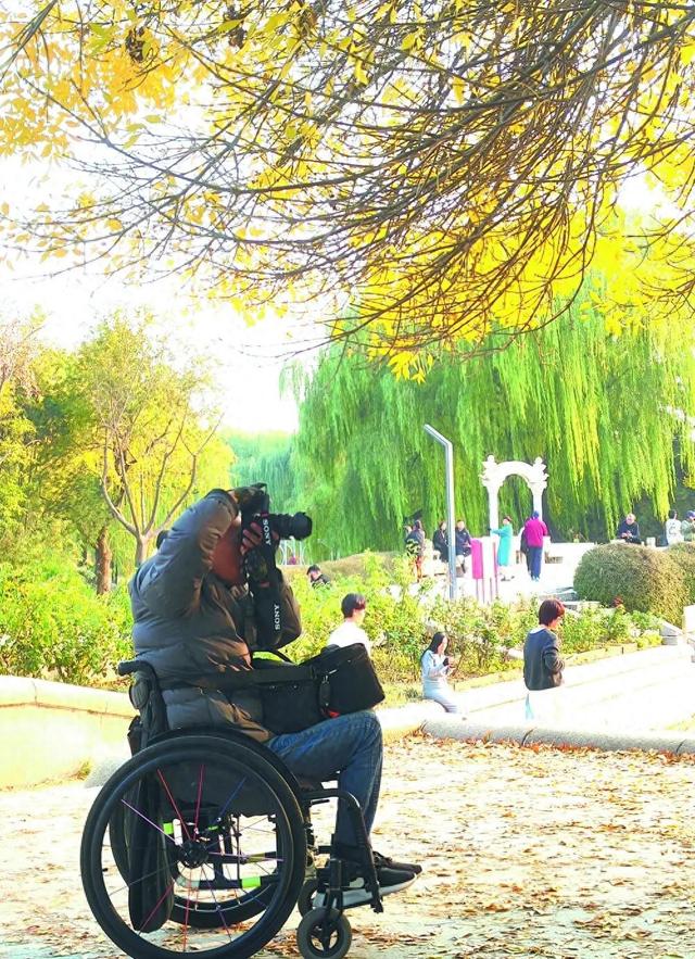 石家庄这三棵“网红”树正在霸屏朋友圈，你的打卡清单里还没有它？