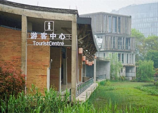 富阳这里，春日氛围感拉满！市民游客纷纷冒雨赶来……