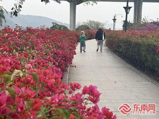 福建清明旅游市场火爆：非遗体验打造“山海课堂”