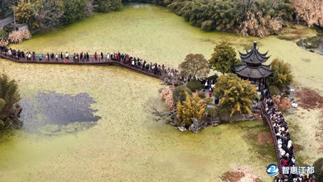 人气爆棚！丁伙朴园元旦活动吸引全国游客，三天接待量创历史新高