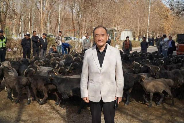 贾云峰：吐鲁番黑羊大巡游策划的底层逻辑与引爆系统
