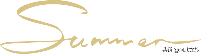 云海漫金山，一眼千年梦