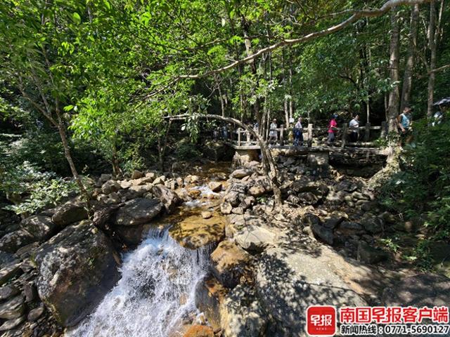 趣游山水、非遗潮玩……广西三月三，四地欢乐不重样!