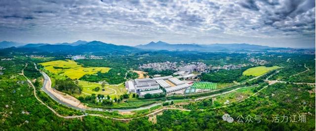 秋日必去！从化江埔5大稻田打卡攻略，邂逅金色浪漫