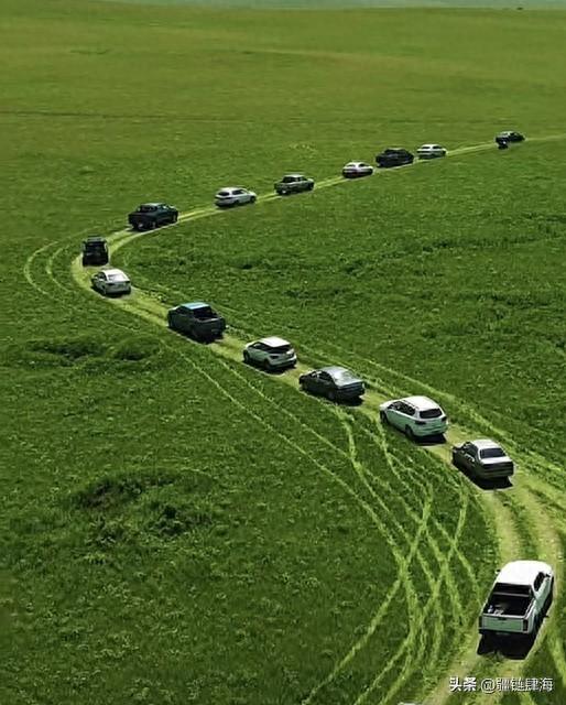 2026年最值得去的5个草原！最后一个美到窒息，看完就想出发