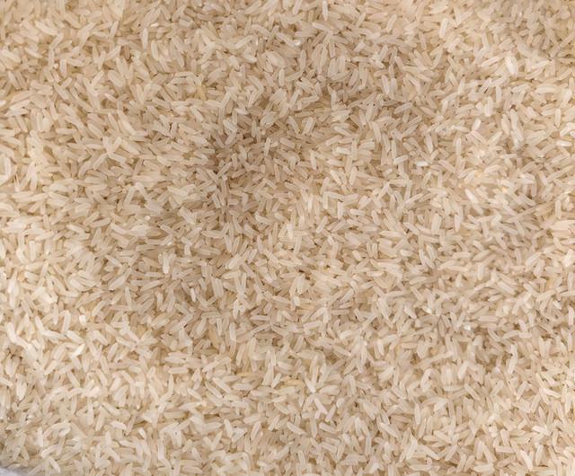 我在茨河有块儿田，种出都市人的田园梦