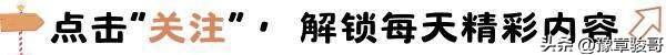 晚上多梦是什么原因（一睡着就多梦不单是 压力大中医4 大病因）