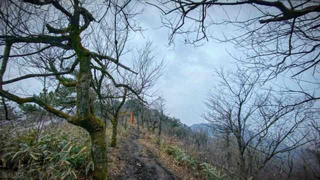 穿越迷雾森林，邂逅云端仙境，我找到了杭州最原始的徒步路线！