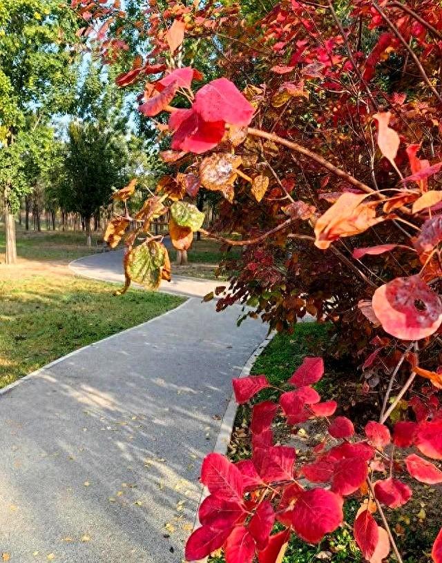 55岁阿姨相亲一见钟情，当晚同居，第二天起床竟不知对方姓名！