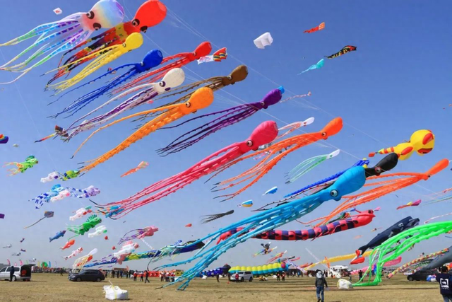 游玩新去处！烟台植物园凤凰风筝季4月于莱山区启幕