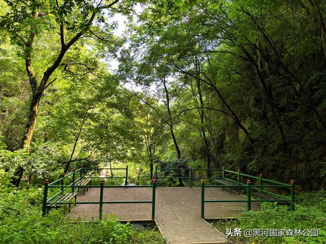热浪再度来袭？不如进山去！享受20℃+的清凉舒爽