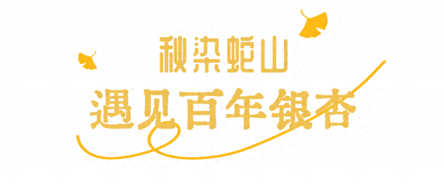 武昌赏秋天花板！这条被推荐100次的山路，迎来最美时刻